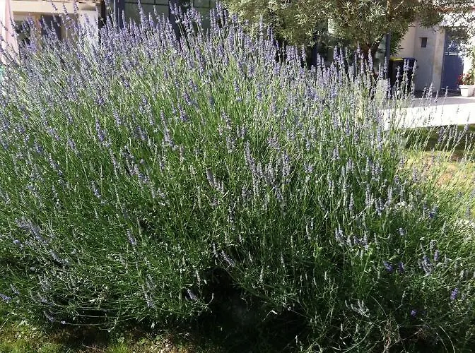 Bed & Breakfast Leduc