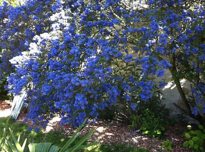 Leduc Bed & Breakfast 3*